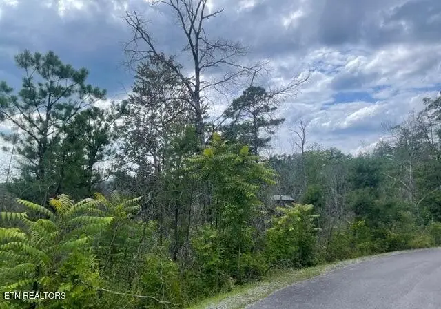 0 River Birch Way, Sevierville, TN 37862 - #3