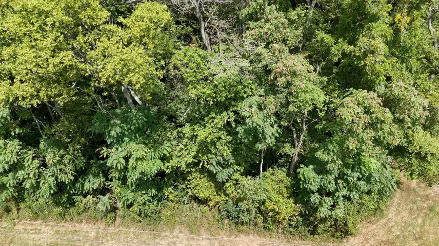 0 Roy Dodson Rd, Columbia, TN 38401 - #3