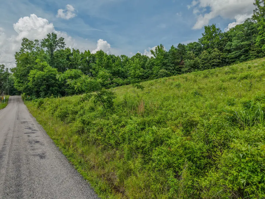 0 Rayburn Creek Rd, Collinwood, TN 38450 - #2