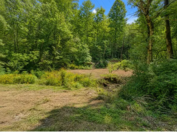 465 Halls Hollow Rd, Smithville, TN 37166
