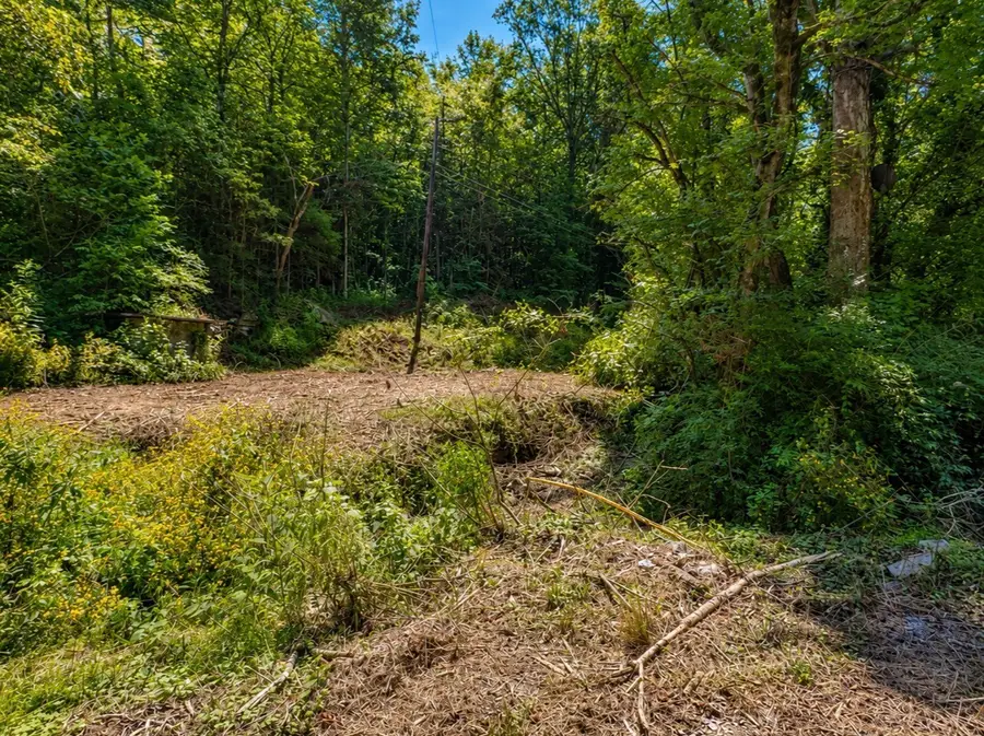 465 Halls Hollow Rd, Smithville, TN 37166 - #2