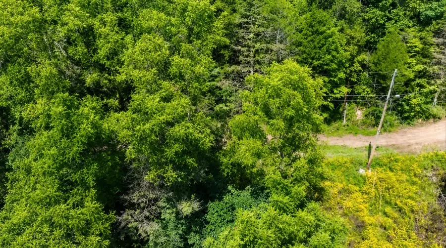 465 Halls Hollow Rd, Smithville, TN 37166 - #3