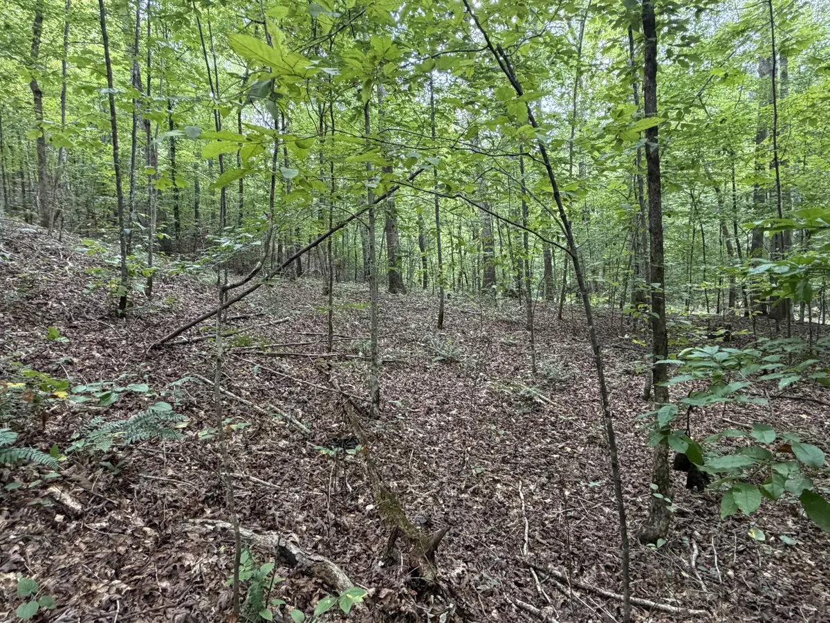 0 Deer Creek Rd, Linden, TN 37096 - #1
