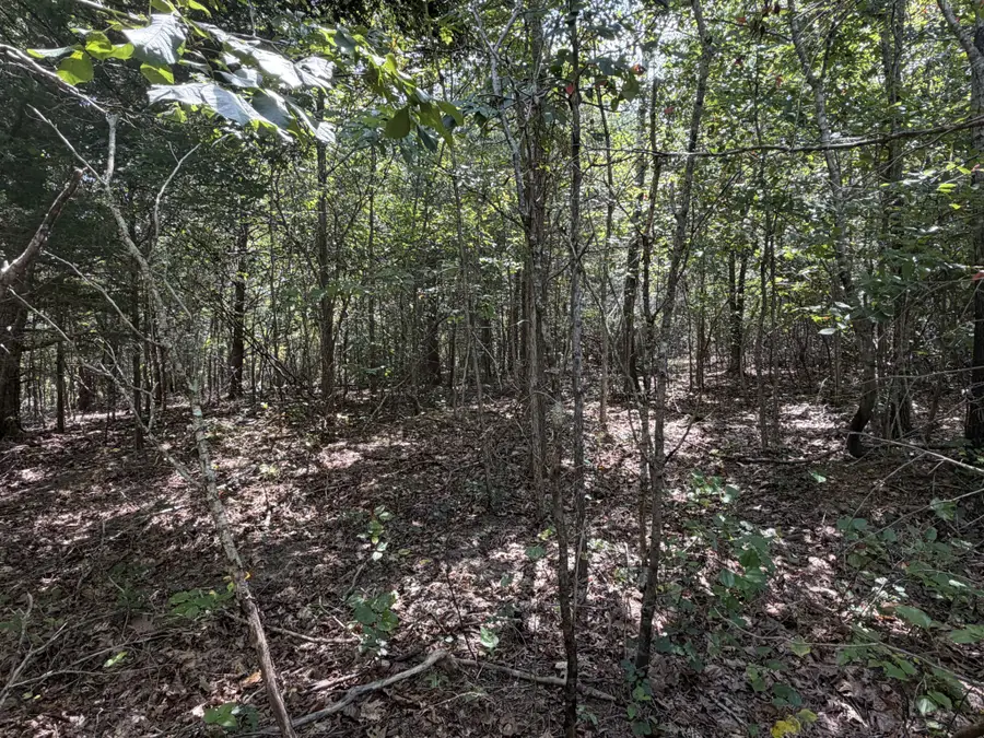 0 Louise Ln, Linden, TN 37096 - #2