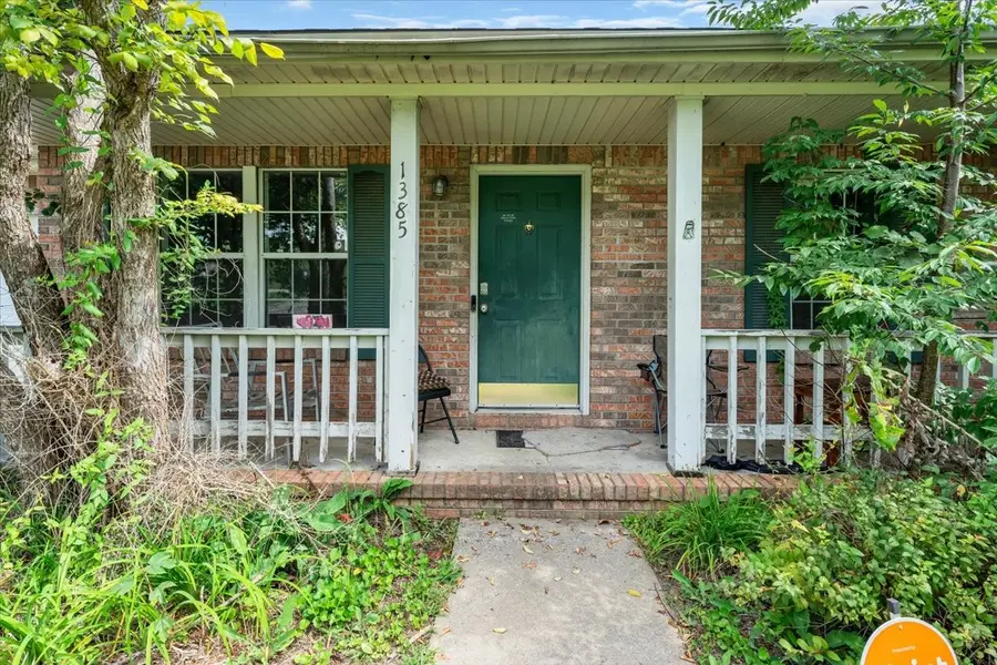 1385 William Suiters Ln, Clarksville, TN 37042 - #2