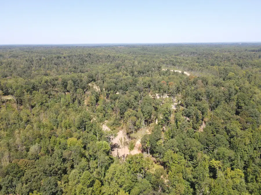 4 Copper Spring Road, Springville, TN 38256 - #2