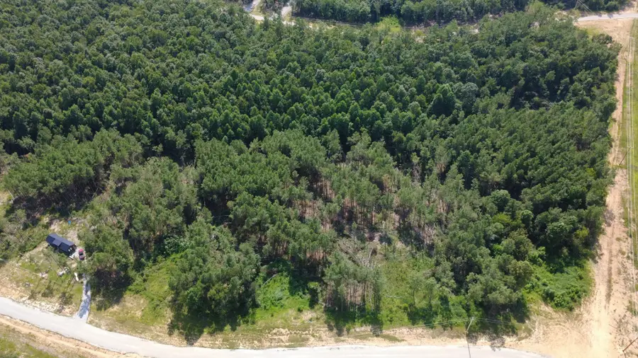110 Hilltop Dr, Hohenwald, TN 38462 - #3