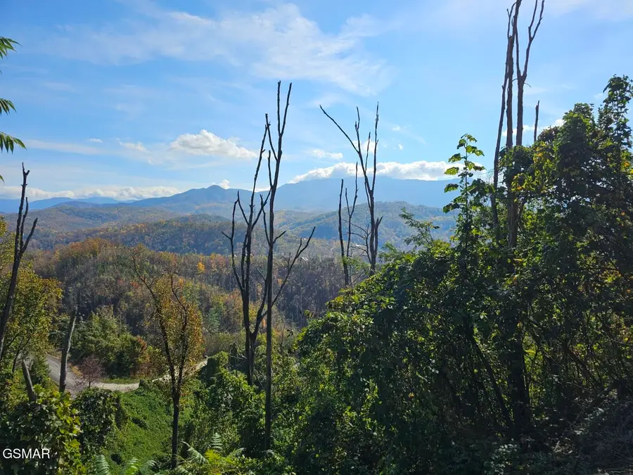 639 Kristis Place, Gatlinburg, TN 37738 - #3
