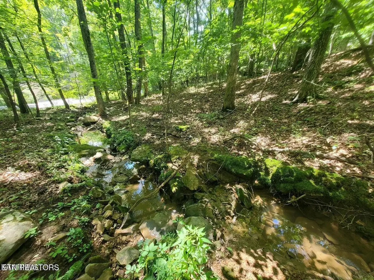 0 Sugarbush Circle, Crossville, TN 38558 - #1