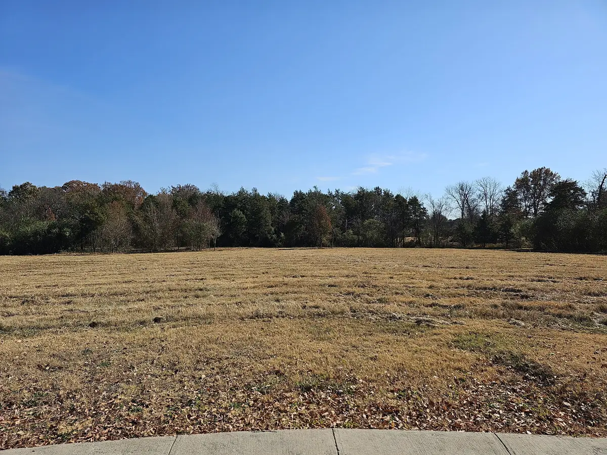 4235 Roxburghe Ct, Murfreesboro, TN 37128 - #1