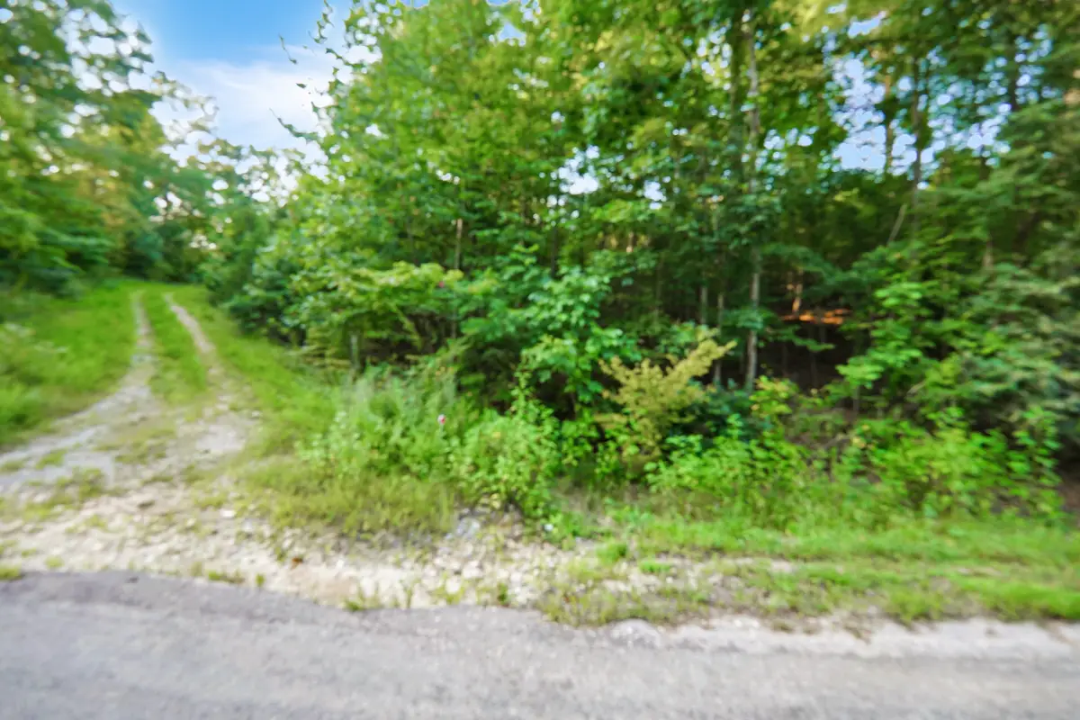 4 Cox Hollow Road, Dover, TN 37058 - #1