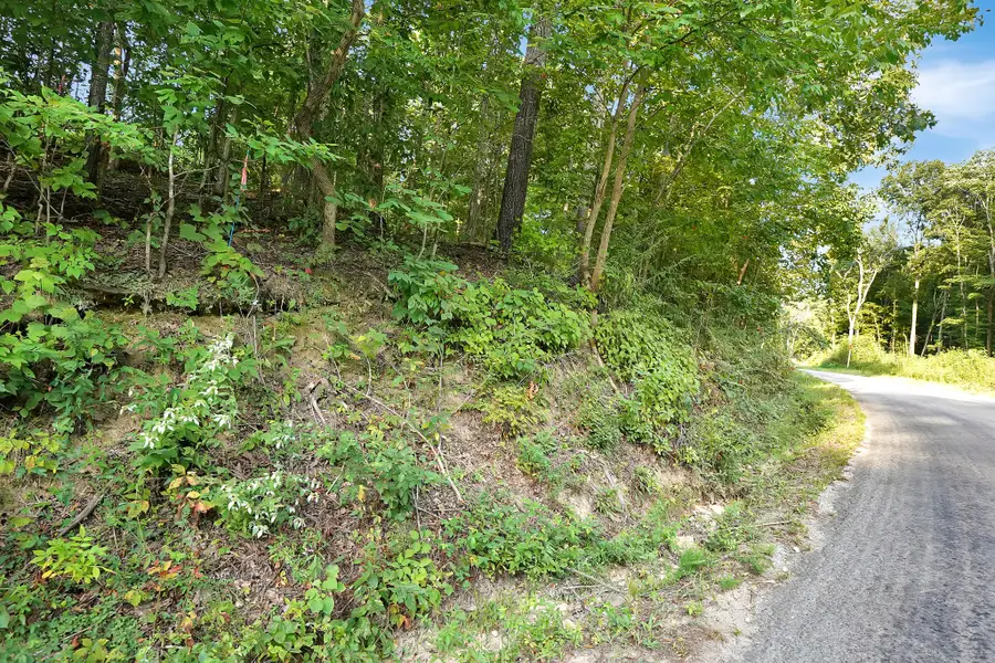 4 Cox Hollow Road, Dover, TN 37058 - #3