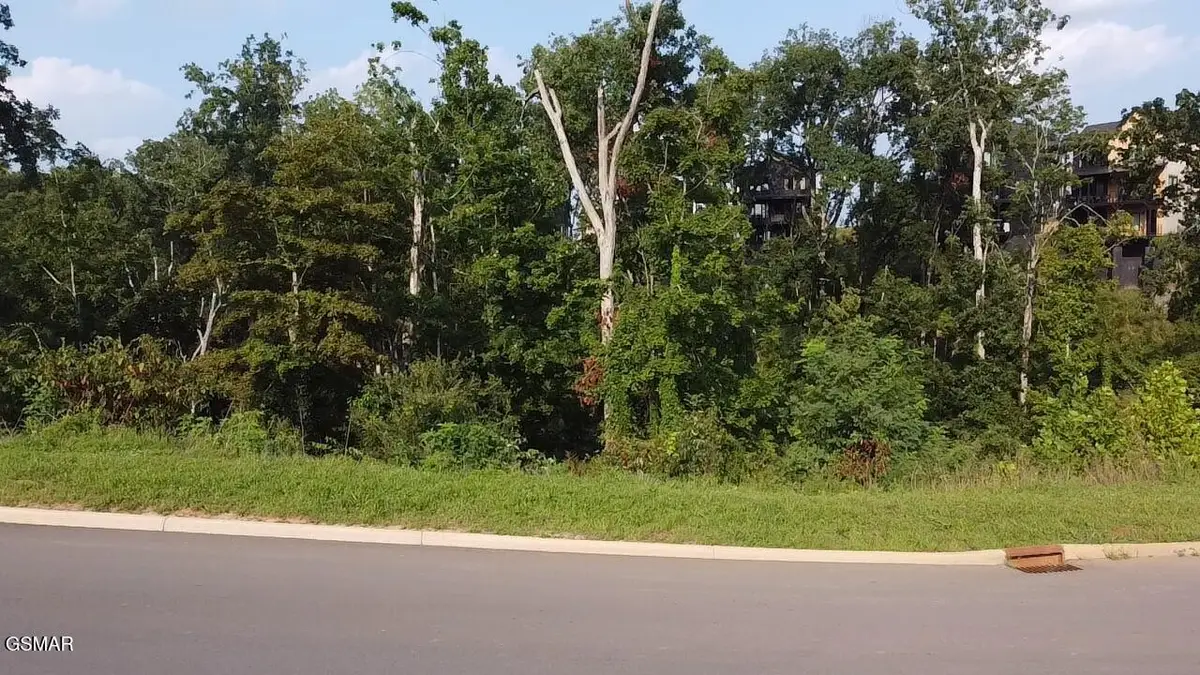 143 Reedmont Way, Sevierville, TN 37876 - #1