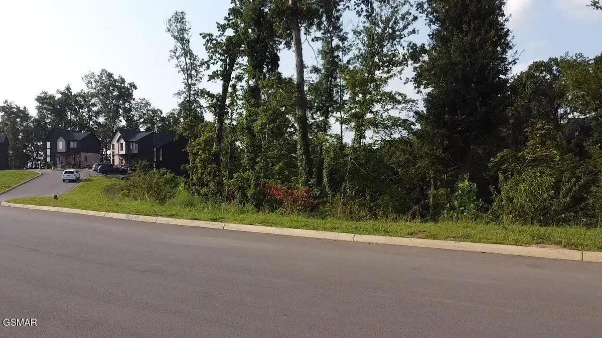 145 Reedmont Way, Sevierville, TN 37876 - #1