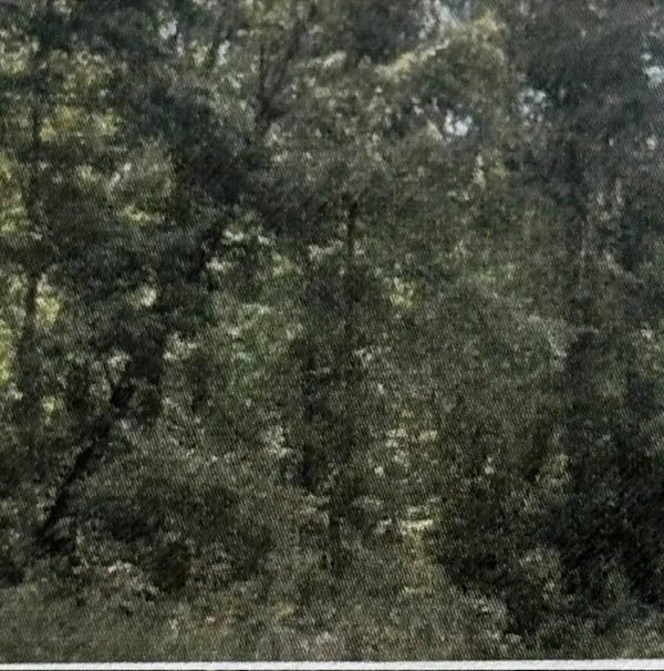 0 Shilow Rd, Beechgrove, TN 37018