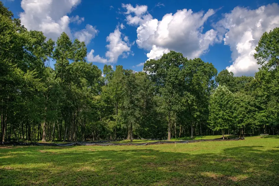 7368 Overbey Rd, Fairview, TN 37062 - #2