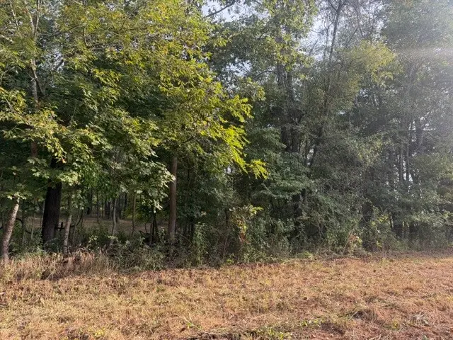 7 Issac Clifton Rd, Chapmansboro, TN 37035 - #3