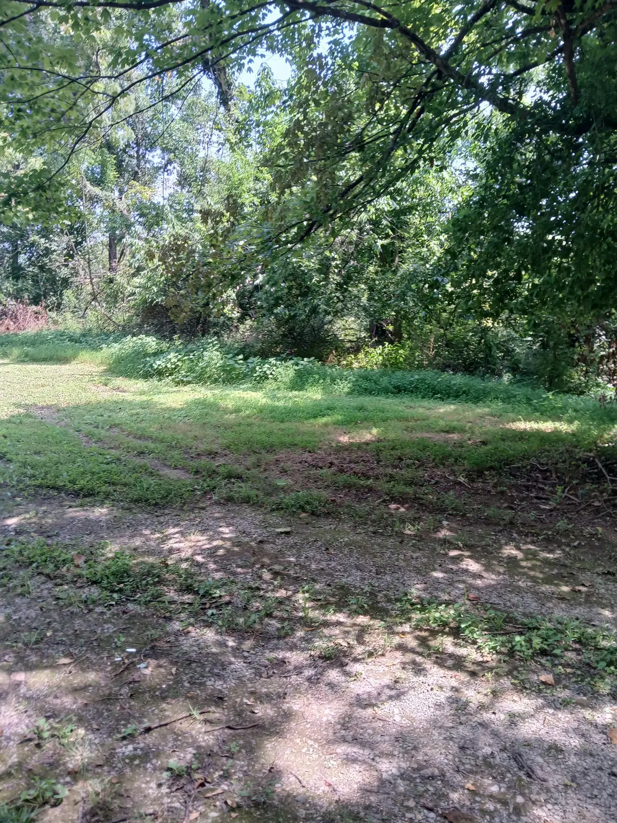 8729 Hester Beasley Rd, Nashville, TN 37221 - #1