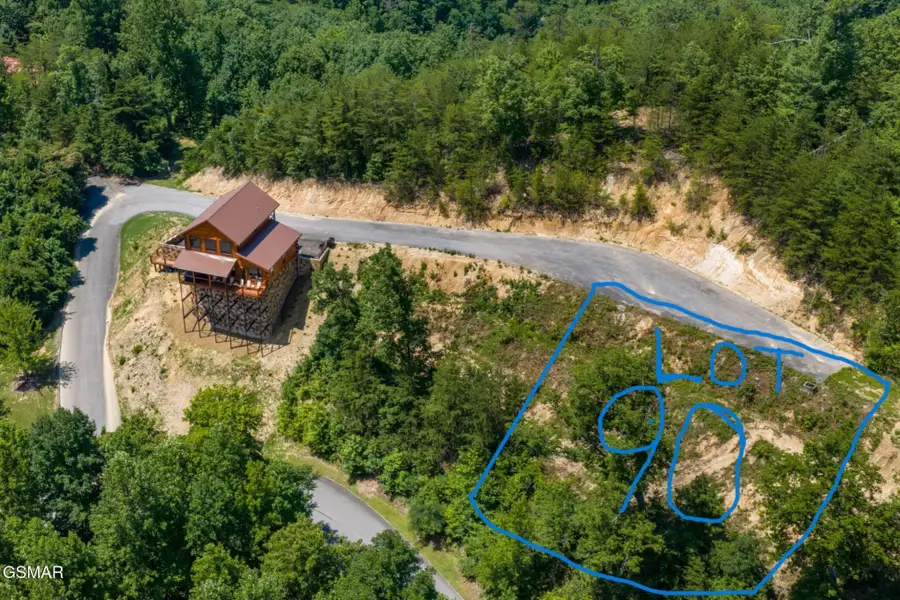 90 Starr Bright Lane, Sevierville, TN 37876 - #2