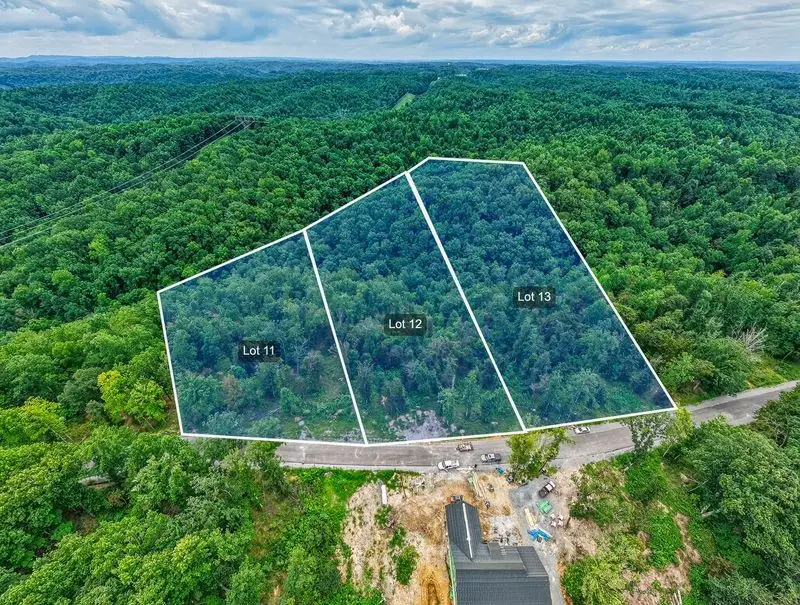 0 Falling Timber Drive, Pegram, TN 37143 - #1