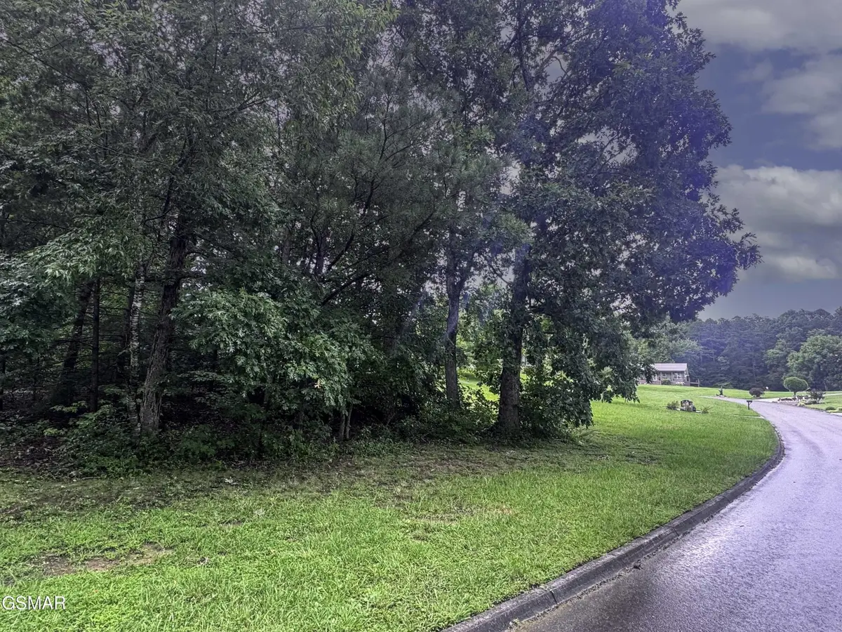 14 Boxwood Lane, Sevierville, TN 37862 - #1