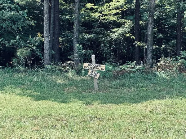 395 Volunteer Street, Jasper, TN 37347