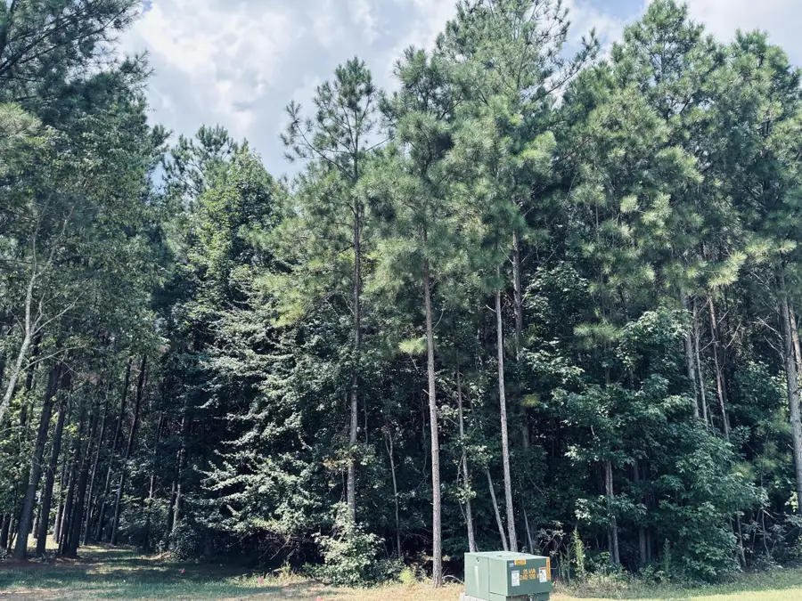 395 Volunteer Street, Jasper, TN 37347 - #2