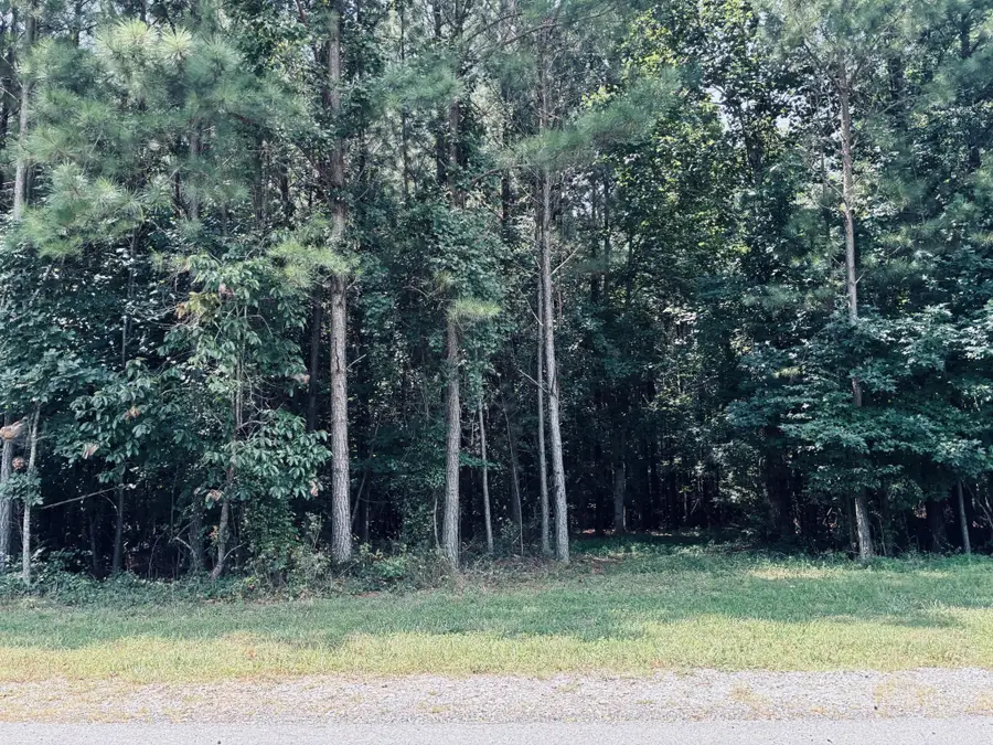395 Volunteer Street, Jasper, TN 37347 - #3