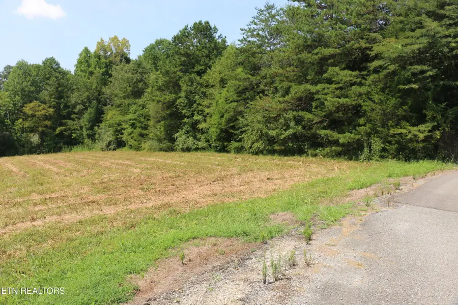 76 Chestuee Ave, Englewood, TN 37329 - #3
