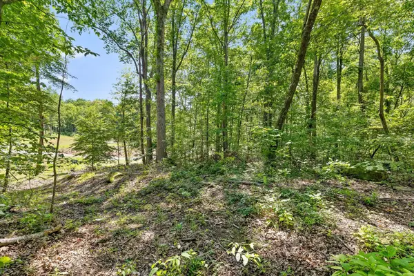 0 Maple Leaf Trail, Lookout Mountain, GA 30750