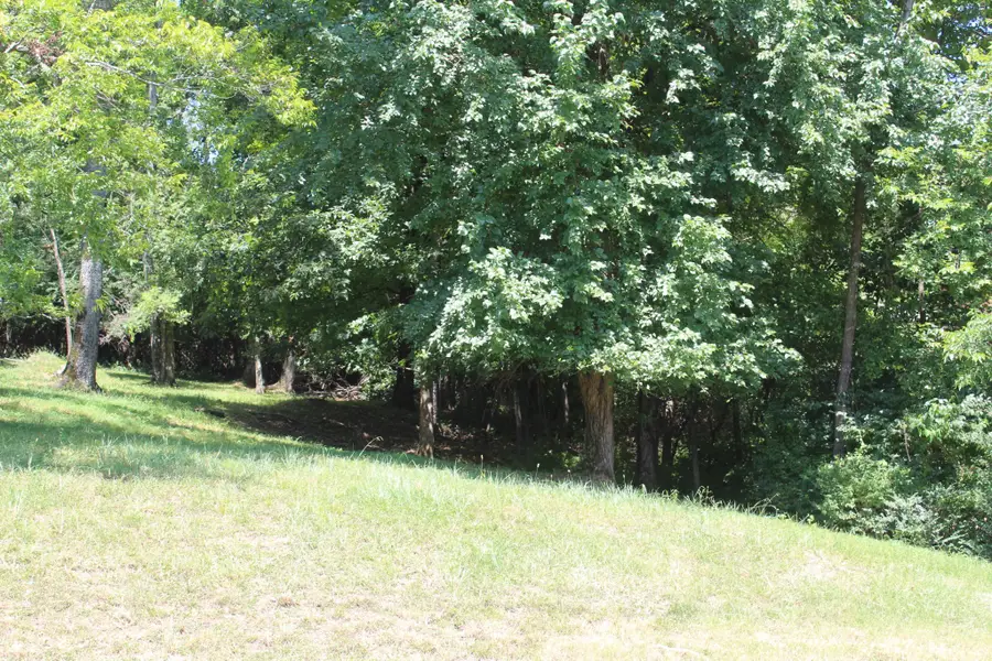 0 Spy Glass Way, Hendersonville, TN 37075 - #2