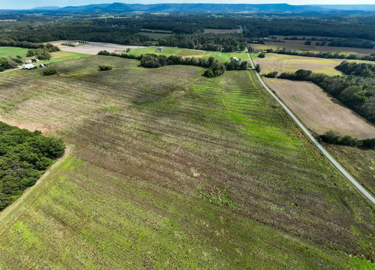 1 Newt Vanattia Rd, Hillsboro, TN 37342 - #1