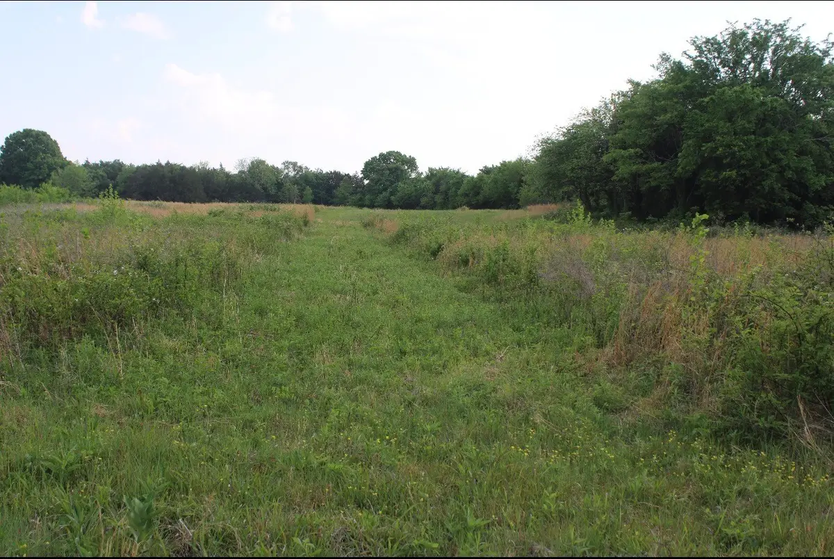 3 Midland Fosterville Road, Bell Buckle, TN 37020 - #1