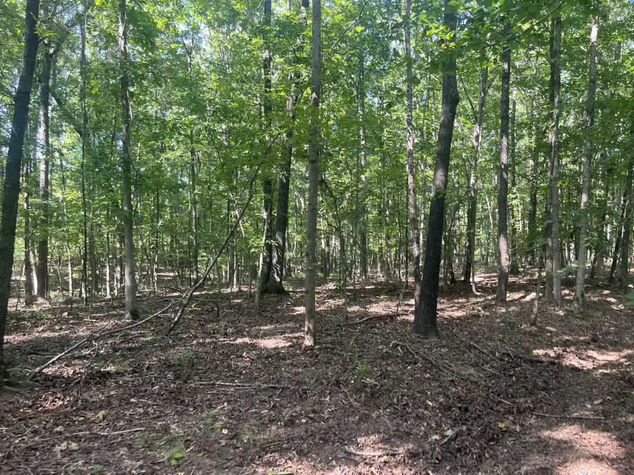 0 Scott Ln, Iron City, TN 38463 - #2