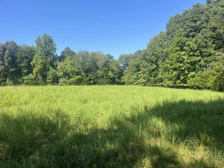 0 Scott Ln, Iron City, TN 38463 - #3
