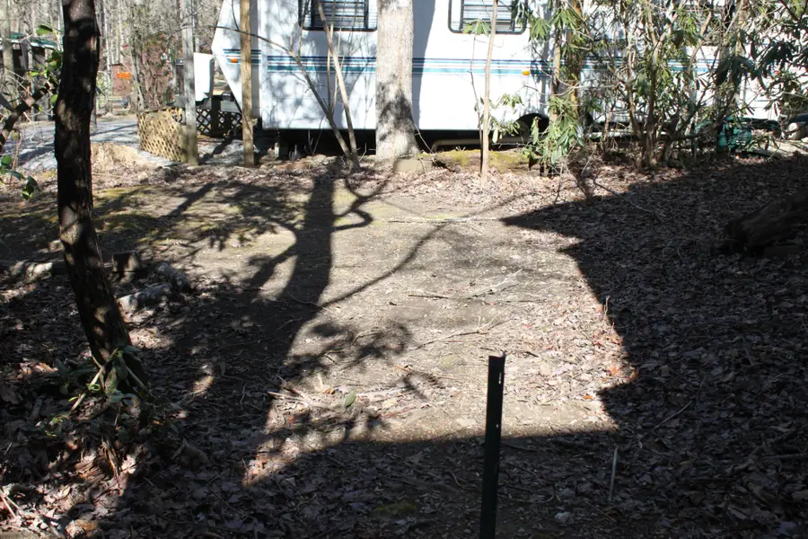 299 Harmony Way, Cosby, TN 37722 - #3