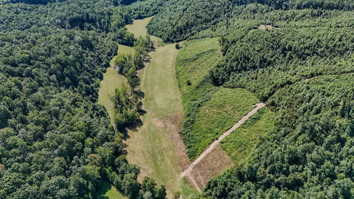 0 Clifton Turnpike, Waynesboro, TN 38485 - #1