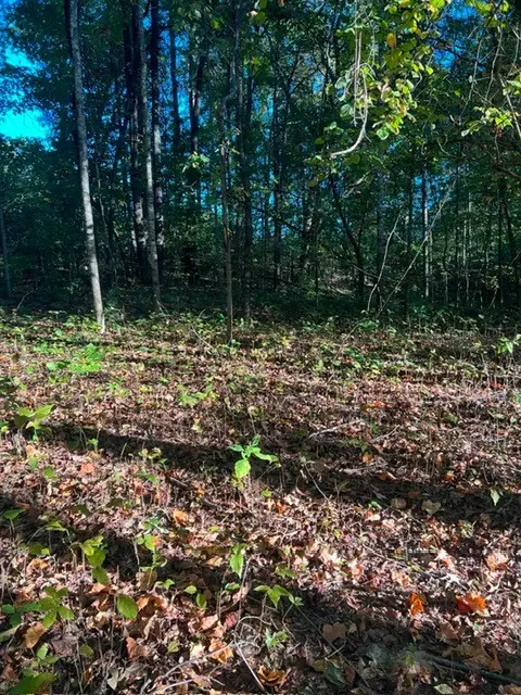 196 Woodstock Dr, Rutledge, TN 37861