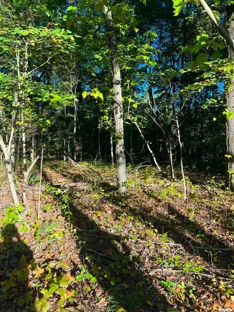 196 Woodstock Dr, Rutledge, TN 37861 - #2