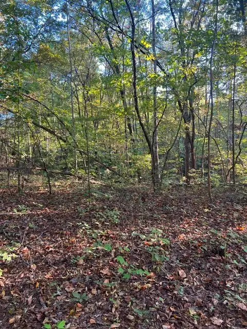 196 Woodstock Dr, Rutledge, TN 37861 - #3