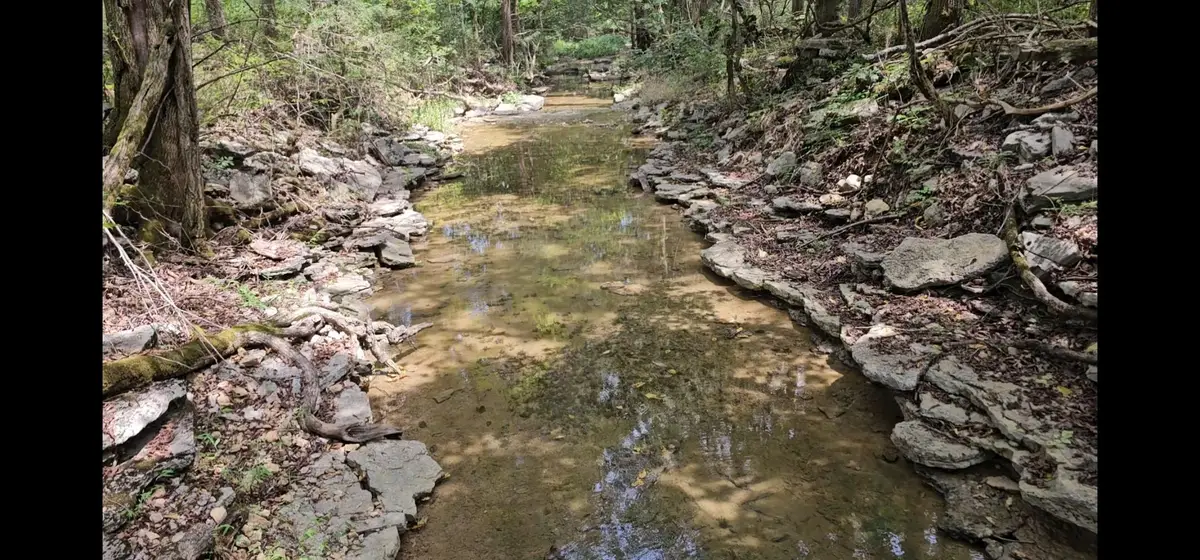 0 Whitfield Hollow Road, Readyville, TN 37149 - #1