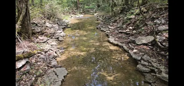 0 Whitfield Hollow Road, Readyville, TN 37149