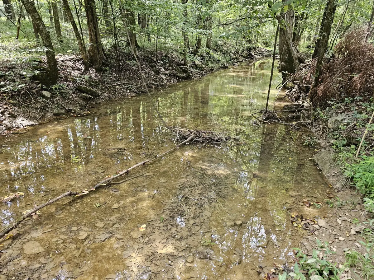 0 Whitfield Hollow Road, Readyville, TN 37149 - #1