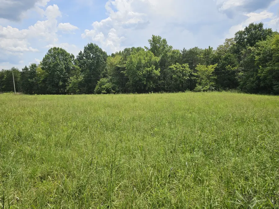 0 Whitfield Hollow Road, Readyville, TN 37149 - #3