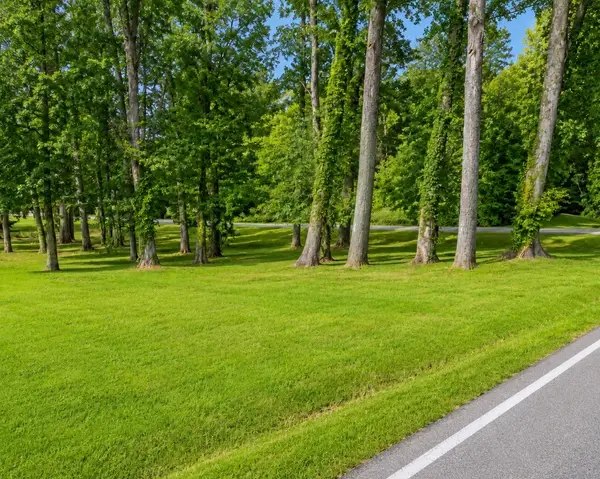 19 Boyd Ave, Mc Minnville, TN 37110