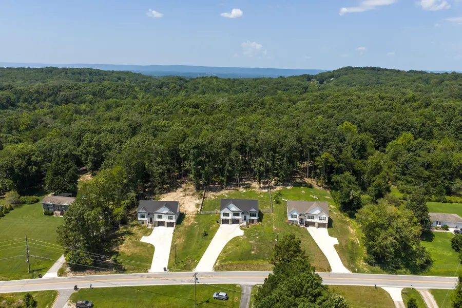 10909 Dolly Pond Road, Ooltewah, TN 37363 - #3