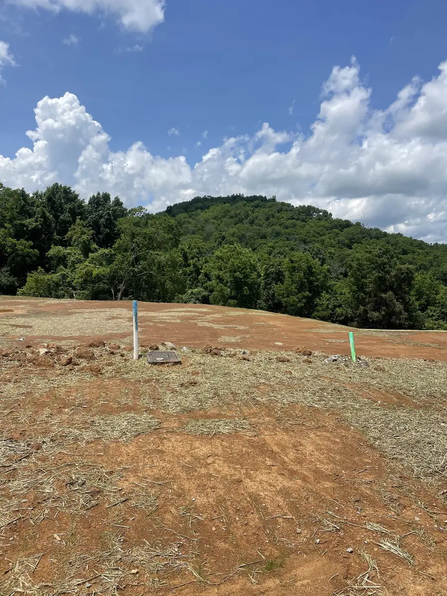 151 Berry Hunter Lane, Franklin, TN 37067 - #2