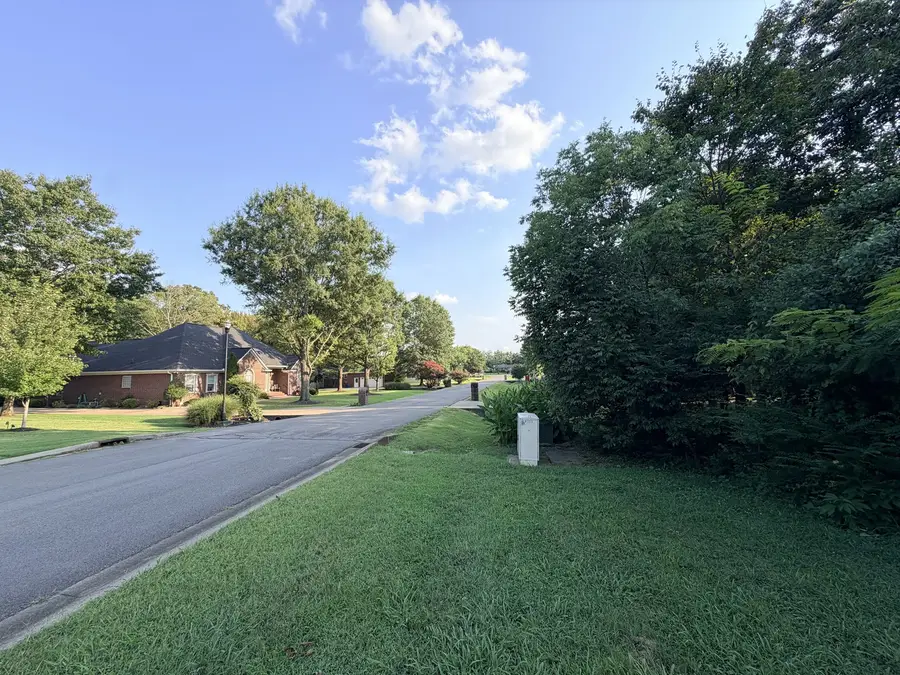 115 Rockingham Dr, Murfreesboro, TN 37129 - #3