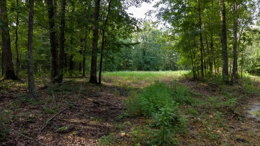 0 Highway 230, Waverly, TN 37185 - #2