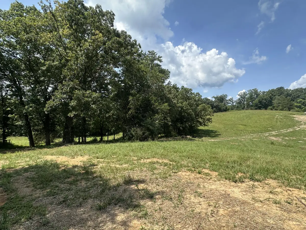 14587 Baker Road, Birchwood, TN 37308 - #1
